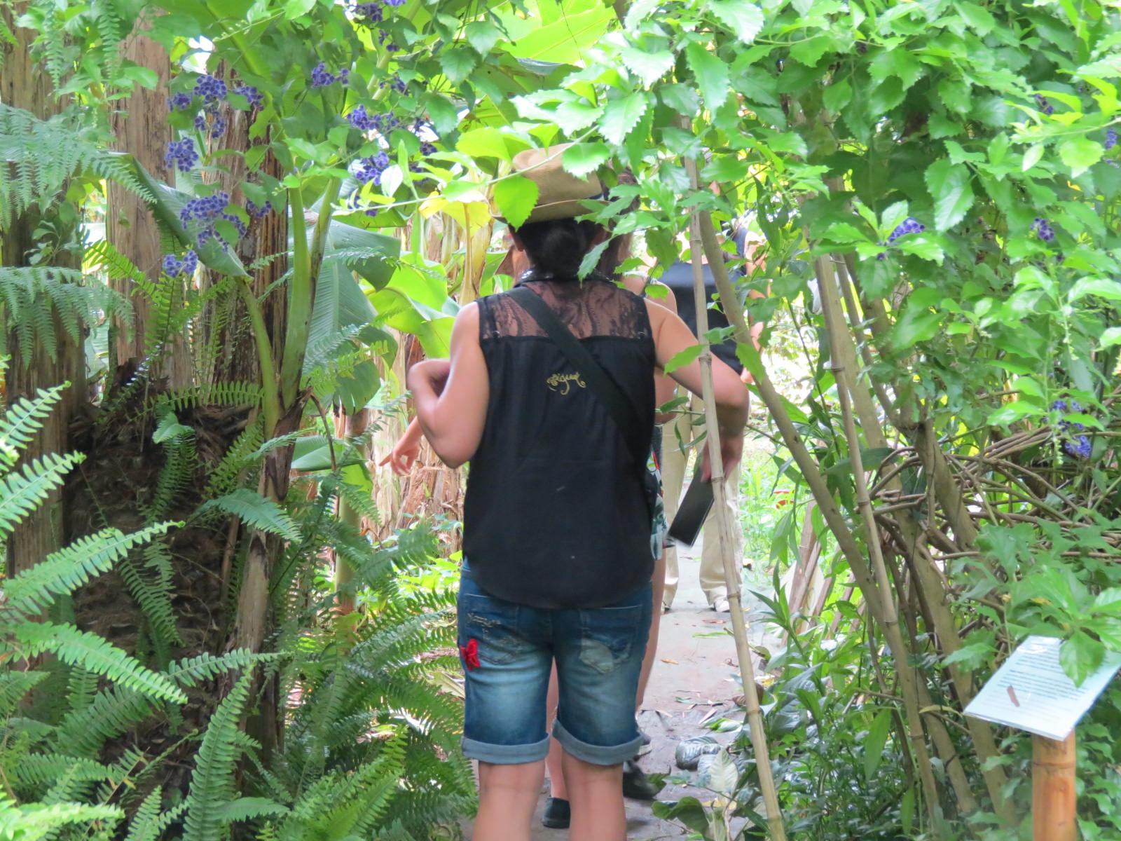 <span class='title'>Une immersion végétale</span>
<span class='desc'>Quelques heures pour comprendre la nature de l'intérieur.</span>